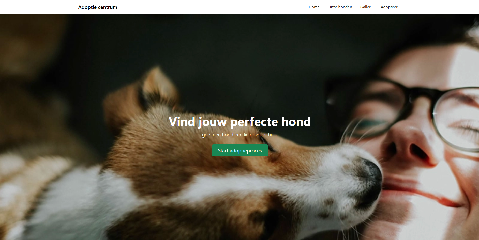 afbeelding van de gemaakte website in labo 6